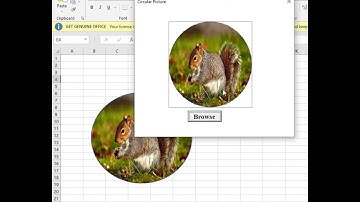 Image control(Circular) in excel VBA UserForm