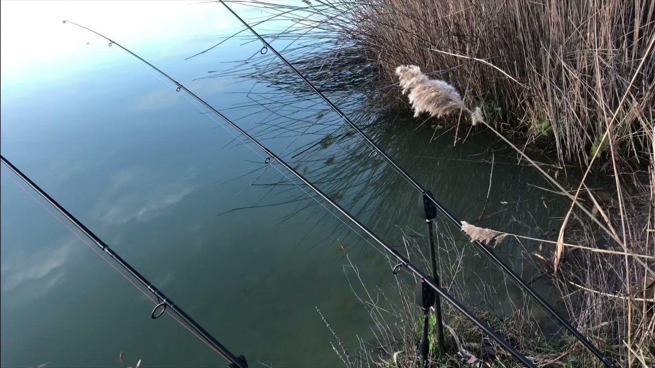 Spring session Carpfishing 🌼🎣      (📍Sandlake Latina )🎥