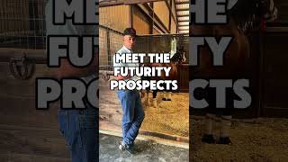 4 Prospects, 3 Spots - Meet the 2026 Futurity Contenders