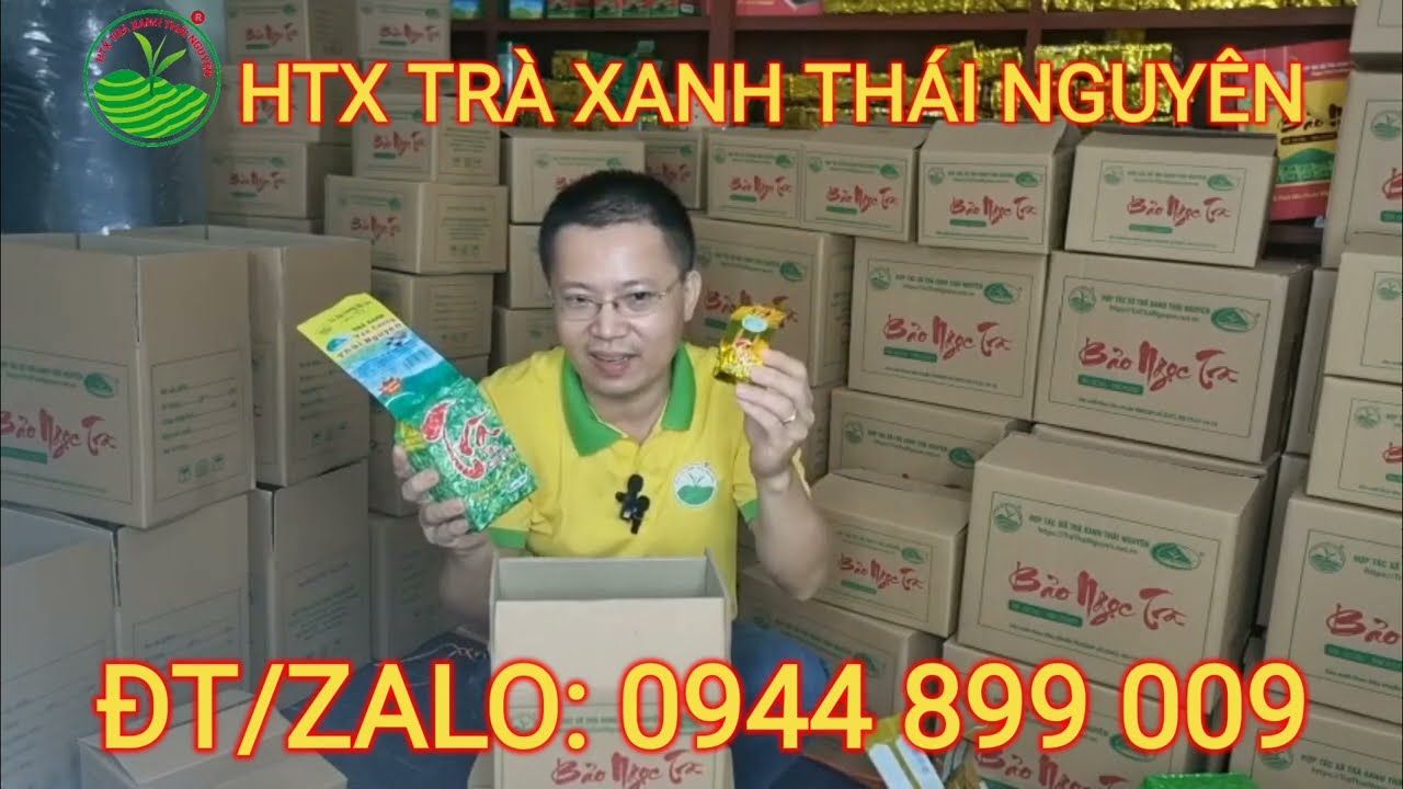 Trà Xanh Tân Cương Thái Nguyên - Chất Lượng Số 1 Việt Nam