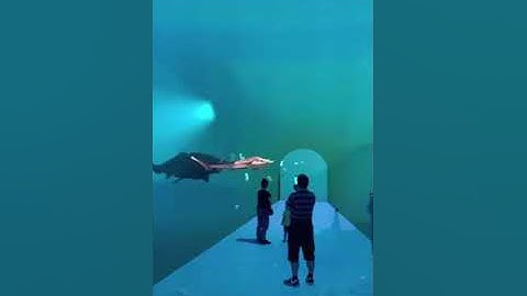 LED Display Realistic Naked Eye 3D Video