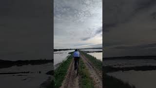 l&#39;albufera de Valencia