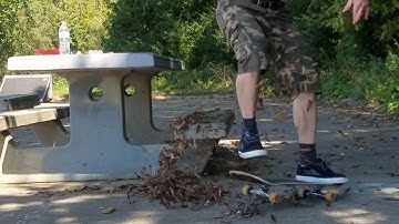 Michael Hellmann fs tailslide bigspin