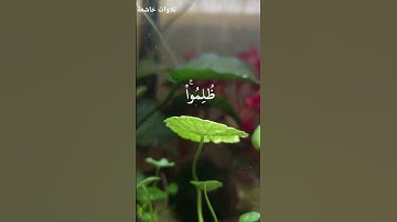 تلاوة خاشعة الشيخ المنشاوي