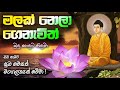 Malak nela genawith budu saduta piduwa | මලක් නෙලා ගෙනැවිත් | ළමා ගී | Lama geetha | Budu guna  gee