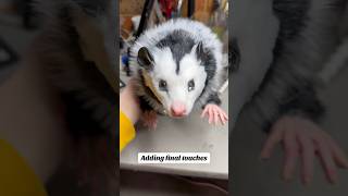 Some final touches on the opossum. This little one should be up for in the next few days #artdoll