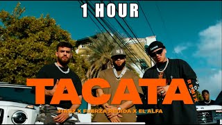 Tiagz X Fuerza Regida X El Alfa - Tacata (Remix) [1 Hour]