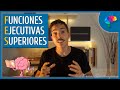 Qué son las funciones ejecutivas superiores y cómo potenciarlas