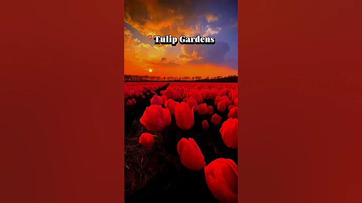 Places On Earth That Don’t Feel Real #travel #explore #viral #tiktok #destinations