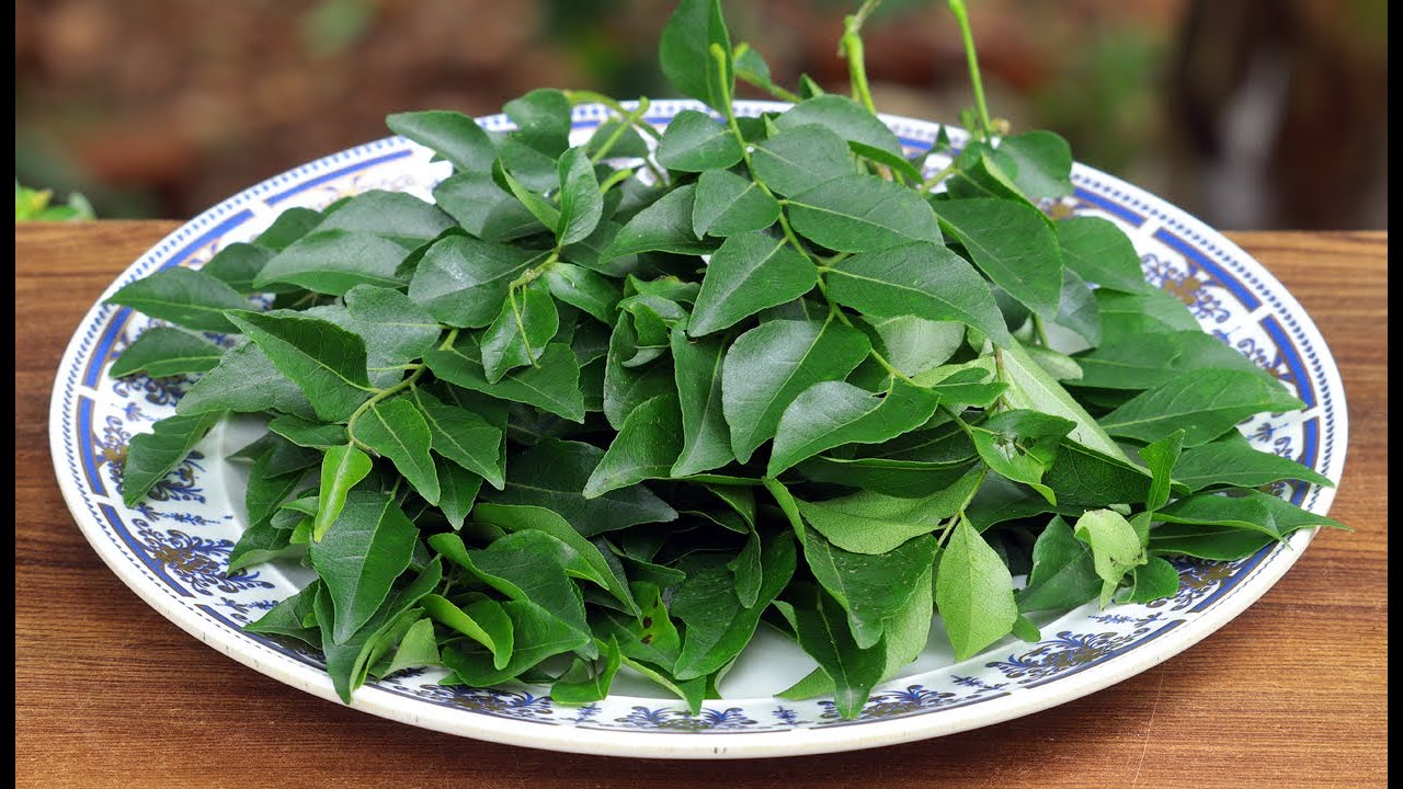 കറിവേപ്പില ഒരുപാട് ഉണ്ടായിട്ടും ഈ രഹസ്യം അറിയാതെ പോയല്ലോ