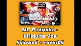 MC Pedrinho - Piriquita Voa 🦜//𝚜𝚕𝚘𝚠𝚎𝚍 + 𝚛𝚎𝚟𝚎𝚛𝚋//🦜