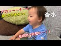 香水/瑛人 遂に完璧に!?