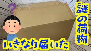 【バッシュレビュー】いきなり届いた謎の荷物…