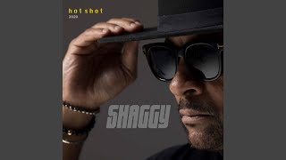 Video thumbnail of "Shaggy - Boombastic (Hot Shot 2020)"