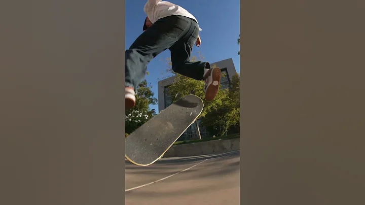 CARLOS RIBEIRO @ VAN NUYS COURTHOUSE  (FULL VIDEO ...