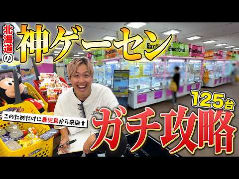 【お金無制限!!】クレーンゲームのプロならお店の景品全部取ることができるのか!?〜ゲーセン・UFOキャッチャー〜