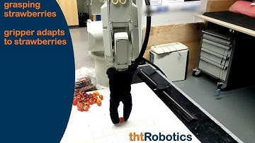 Adaptive Robotic Gripper. Grasping strawberries (different manipulation)
