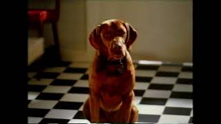 Pedigree 2004 Ad Nz