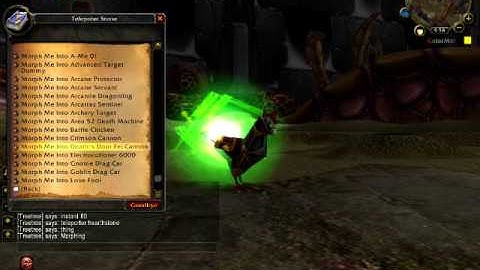 Scicon WoW Instant 80 Hearthstone Teleporter- MORPHING