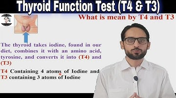 Thyroid function test | T4 and T3 | Free T4 and Free T3