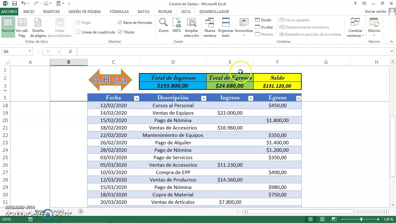 Excel - Plantilla Dinámica para el Control de Ingresos y Egresos de Dinero  de tú Negocio - YouTube