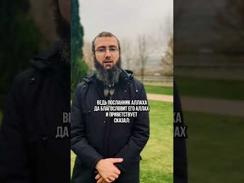 Скрой его грех