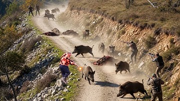 Top 100 Most Exciting Wild Boar Fights ! Hunting the Most Destructive Pest in America