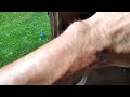 Black rat part 5. The end
