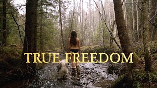 Finding Freedom ° Living & Traveling in a Caravan through Sweden