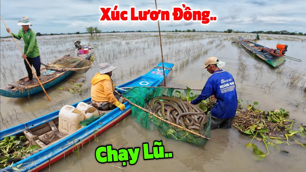 CHẠY lũ lịch sử