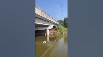 Umx turbo timber crash #warthunder  #rcplane #rcplanecrash