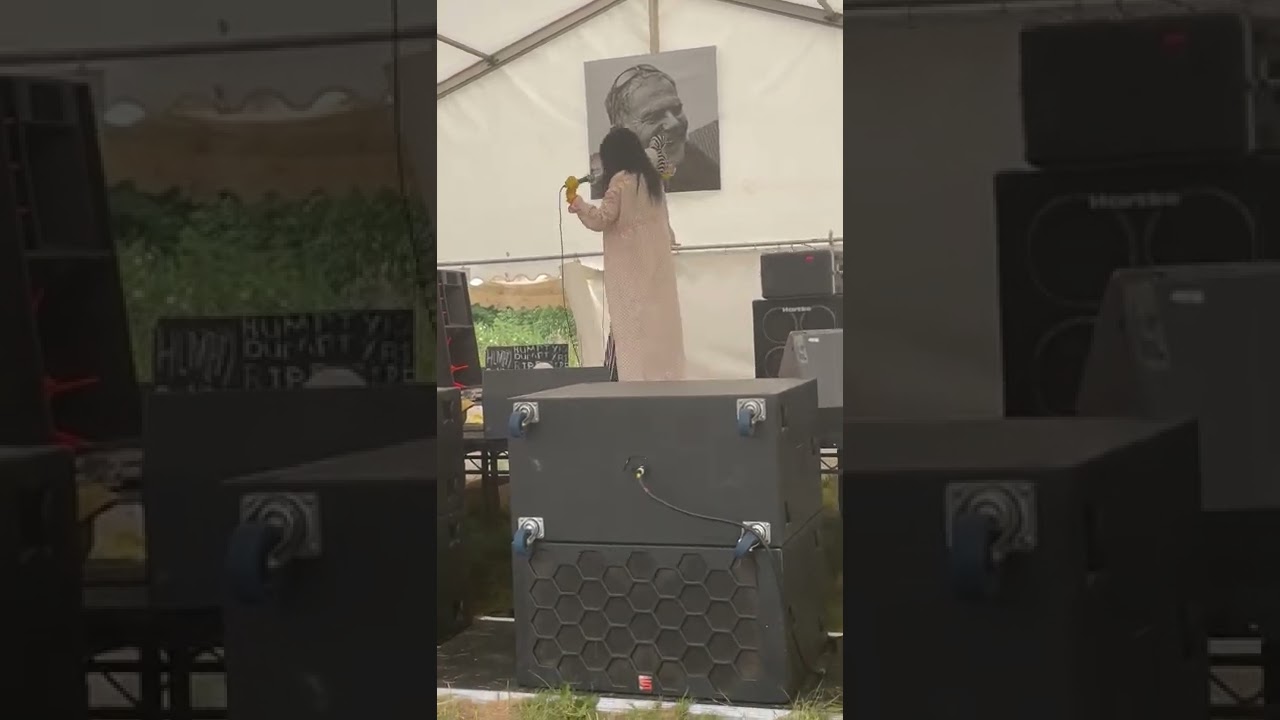 Geisha Davis - Humpty Dumpty (Live at Riverside Festival 2022)