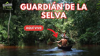 Searching for the Guardian of the Jungle. A journey to the heart of Vaupés, Colombia.
