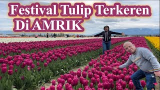 Roozengaarde Tulip Festival 2023 || Festival Bunga Tulip