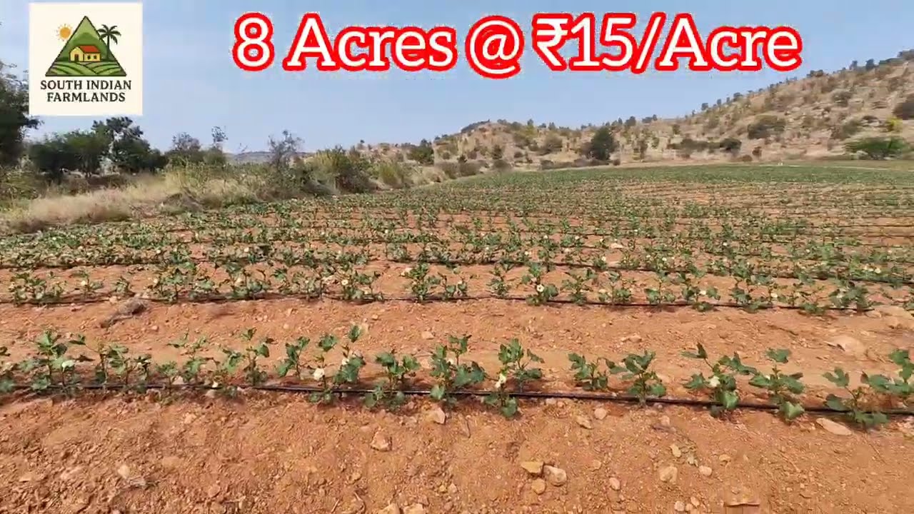 8 acres of farmland for sale near Penukonda at  15 lakhs per acre. Ping us on 8152943766