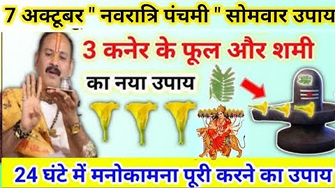 7 अक्टूबर नवरात्रि पंचमी सोमवार उपाय | कनेर के फूल और शमी का उपाय | pradeep mishra today upay