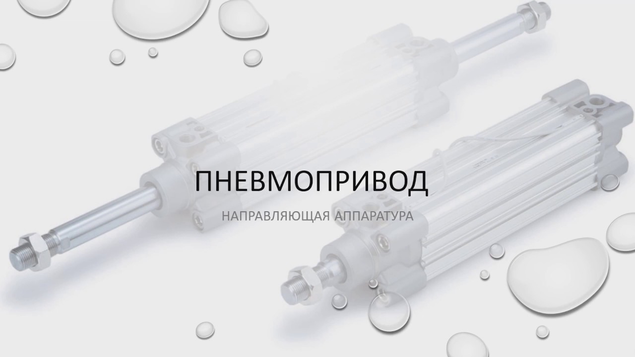 бесплатные вращения промокоды пин ап казино 2020 бесплатные вращения промокоды пин ап казино 2020