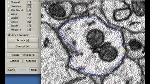 IMOD magic wand tool