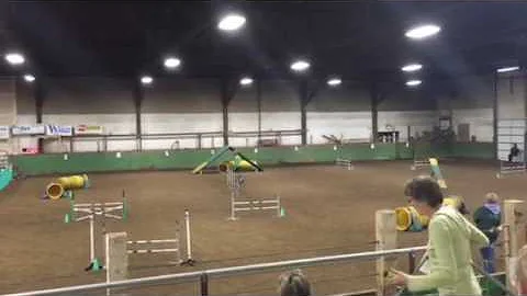 Jane & Bodhi Cpe level 2 standard Sunday 11/13/16