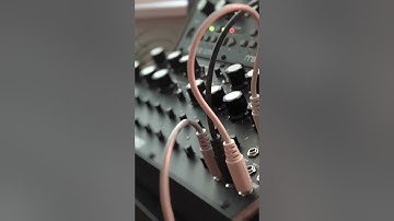 Jamming with the awesome Moog DFAM, Mother-32 and Subharmonicon! 🎛
