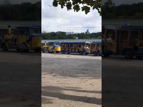 Video: St. Lucias ringi liikumine: ühistranspordi juhend