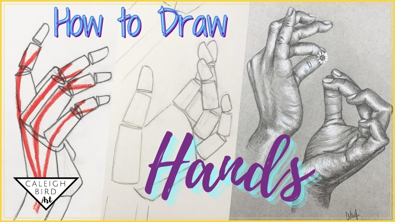 How to Draw Hands :: Basic Shapes + Proportions 