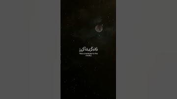 إِنَّ الْحَسَنَاتِ يُذْهِبْنَ السَّيِّئَاتِ ۚ. | سورة هود #قرآن #راحة_نفسية