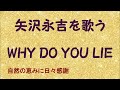 『WHY DO YOU LIE』/矢沢永吉を歌う_766 by 自然の恵みに日々感謝