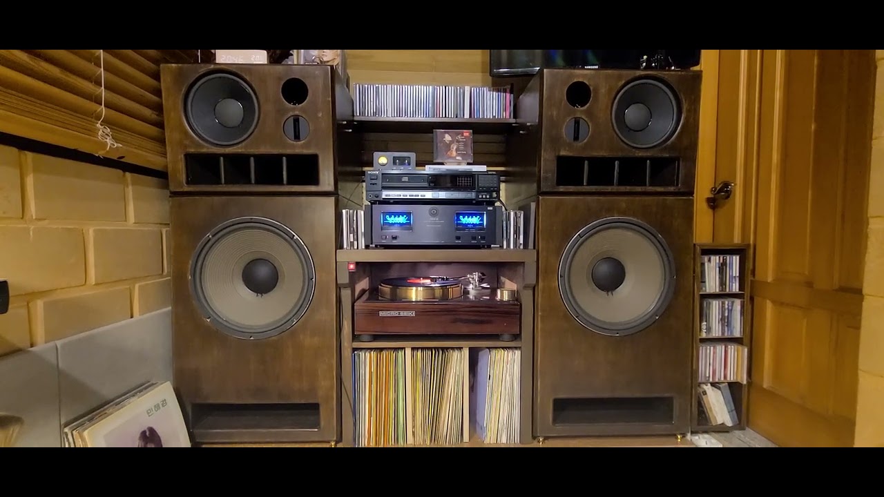 홍세민   청춘이여  다시한번