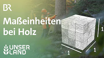 Was wiegt 1 m³ Holz?