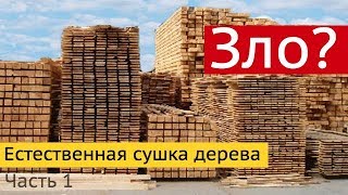 Естественная сушка дерева против камерной сушки. Часть 1.  Все по уму