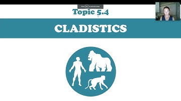 5.4 - Part 2 - IB Biology - Cladistics