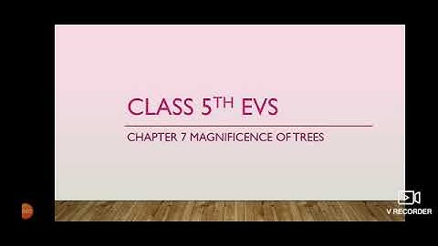 Class-5||Sub-EVS||Ch-7 Magnificence of trees (Part-1)