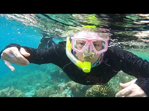 Snorkeling the Gorgonian Passage with Carolyn in Raja Ampat 2020